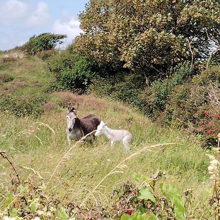 Ballyconneely House ゴールウェイ エクステリア 写真