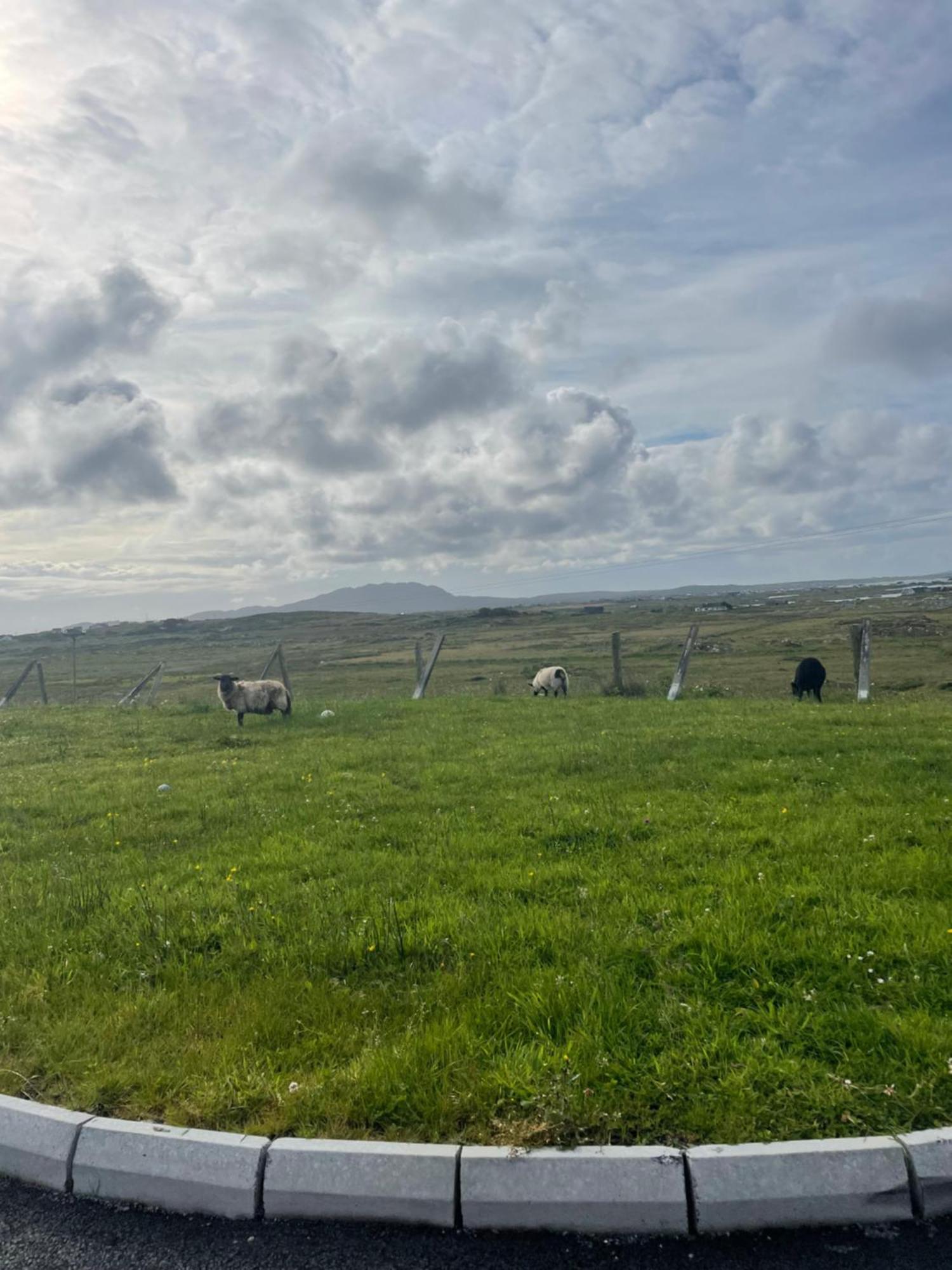 Ballyconneely House ゴールウェイ エクステリア 写真